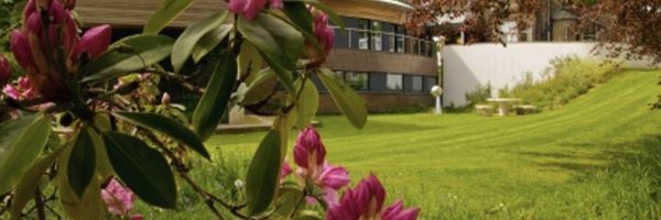 yqsrdotorg Profile Banner