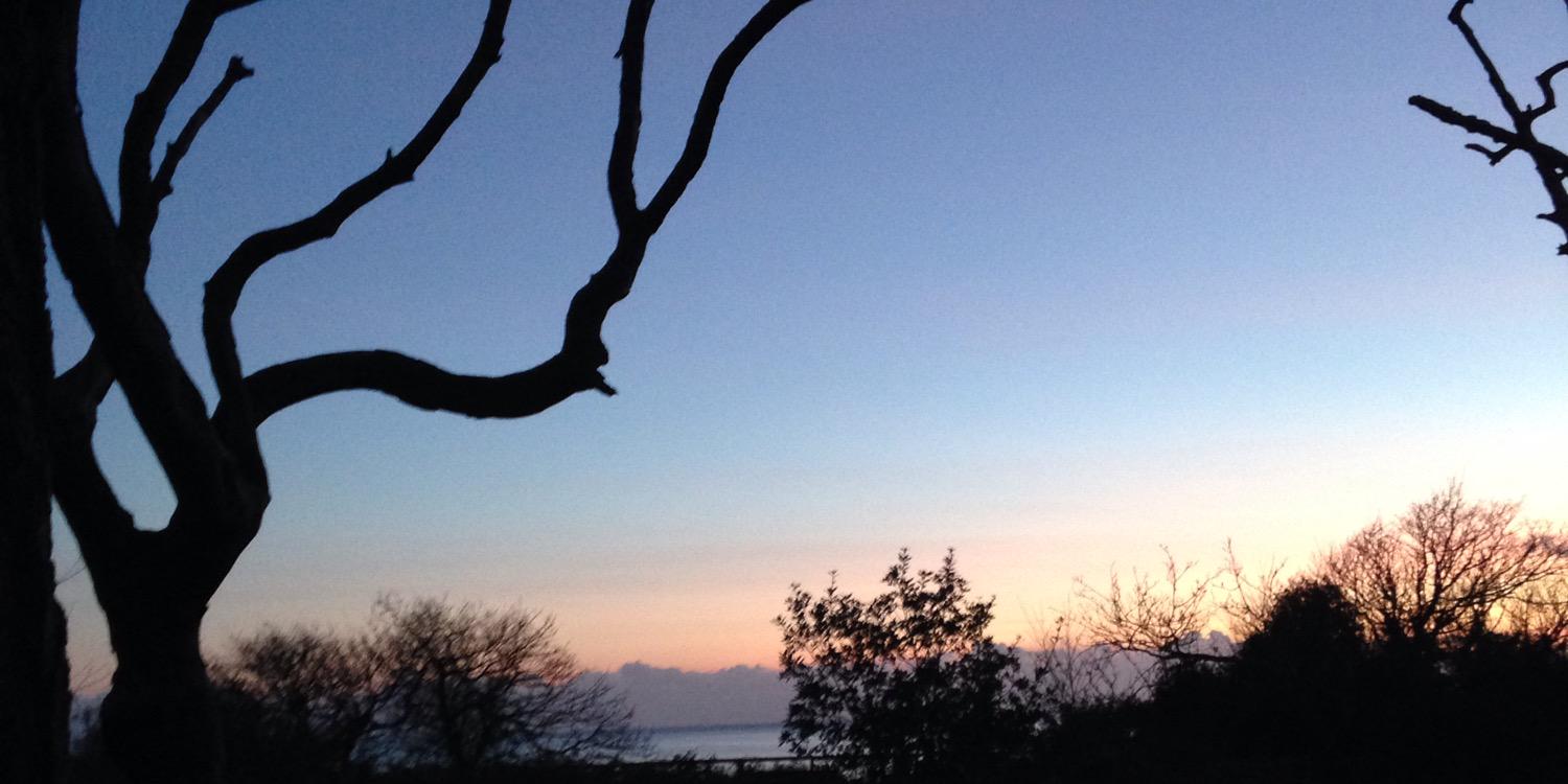 andWellies's profile banner image