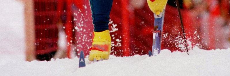 HarmaaAlue's profile banner image