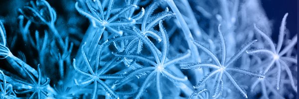 BLUEGent_ Profile Banner