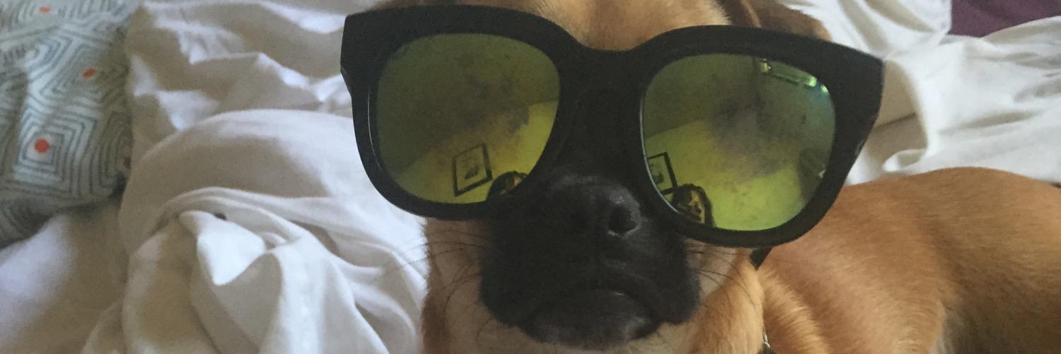 A VERY SERIOUS WOMAN banner