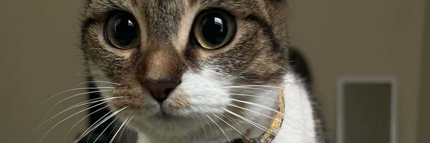 SouljaAllen's profile banner image