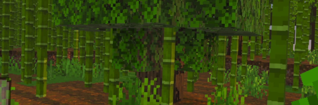 B N A banner