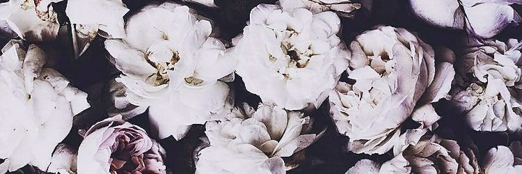 reanehips's profile banner image
