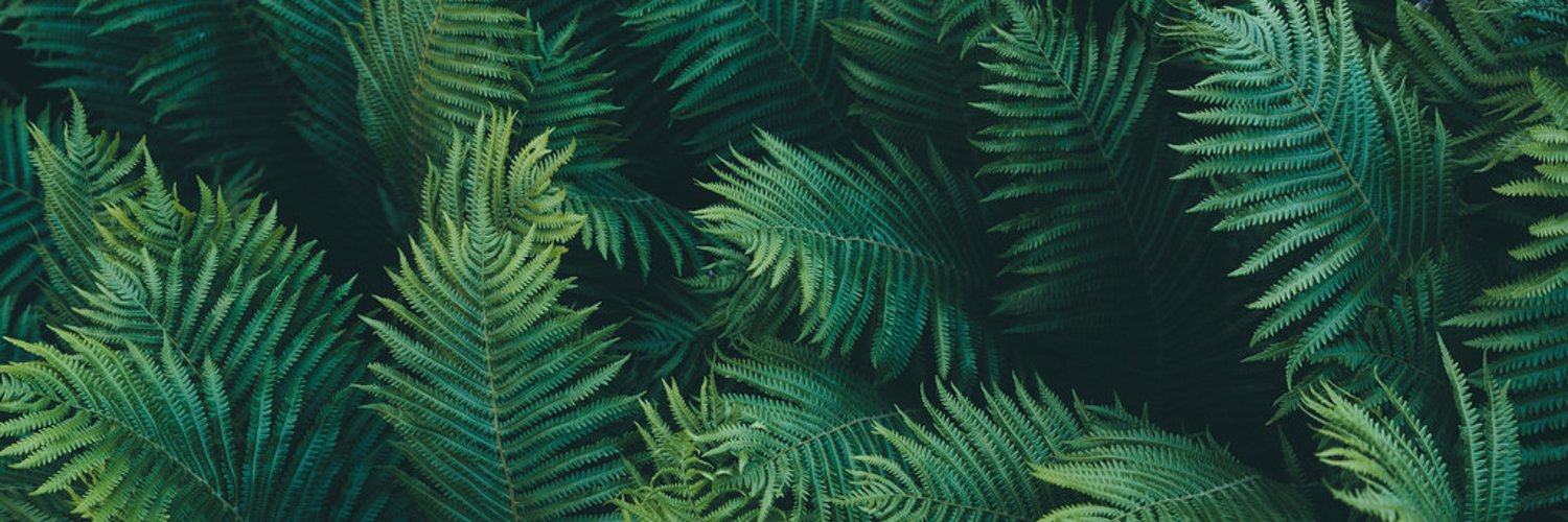 patrickvictor01's profile banner image