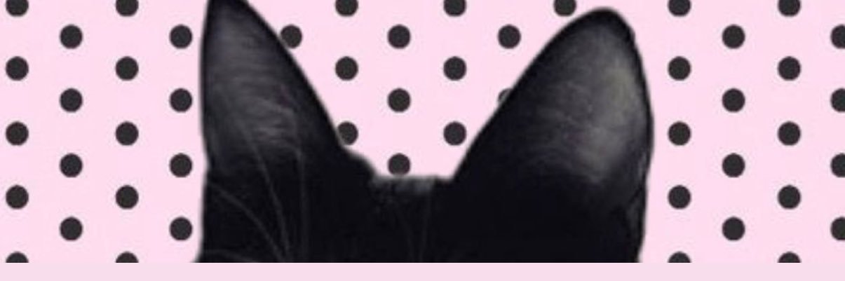 seema🦋 banner
