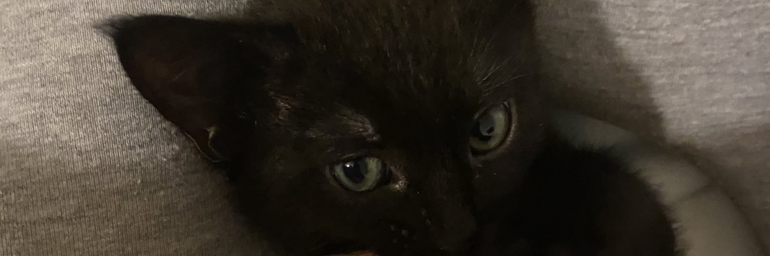 RobynnnLouiseee's profile banner image