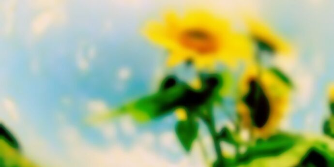 ama__mitsu__'s profile banner image