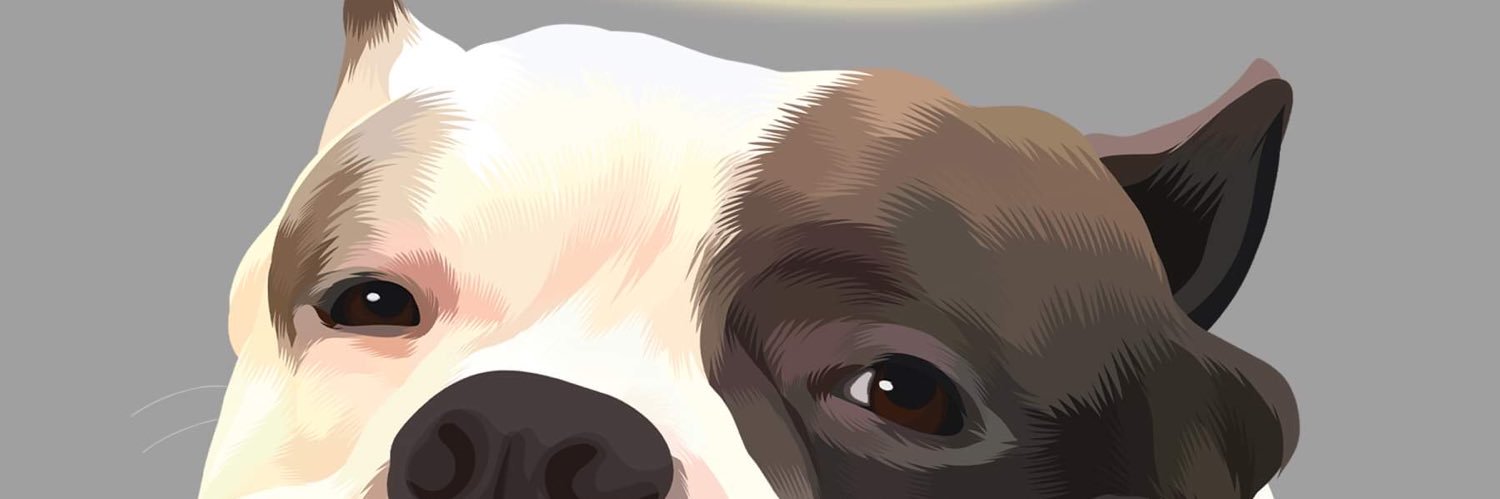 _gonzalesjoy's profile banner image