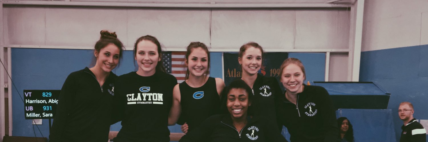 _CHS_Gymnastics's profile banner image