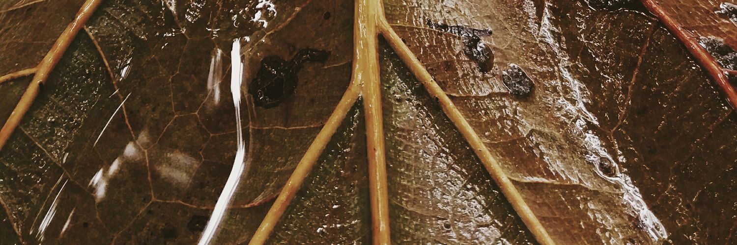 deayamm's profile banner image