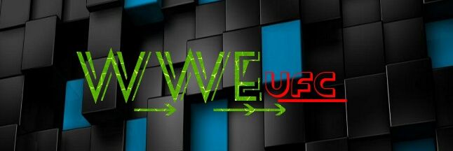 reigns19's profile banner image
