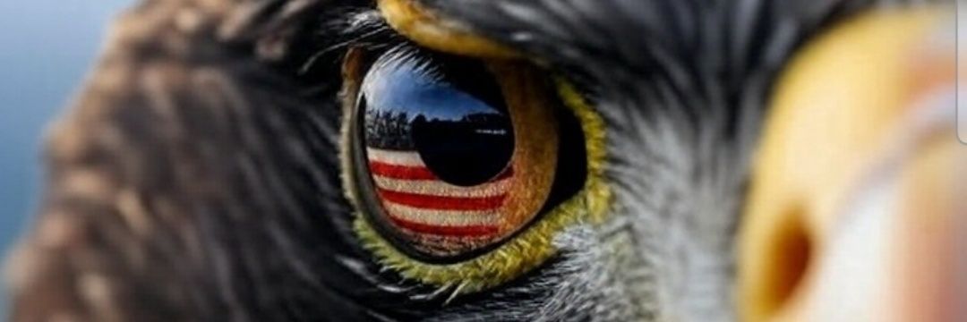Liberty Prime banner