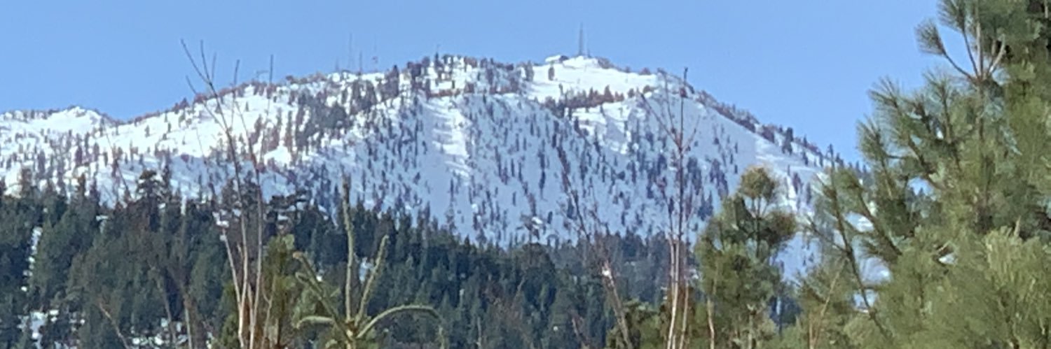 Michael Herman banner