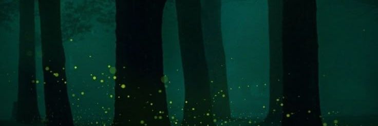 м banner