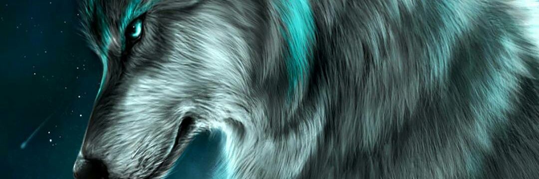 Mf43Murat's profile banner image