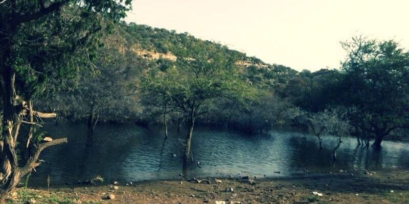 saad03701's profile banner image