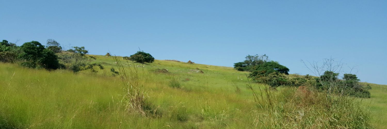 LysandraAChen's profile banner image