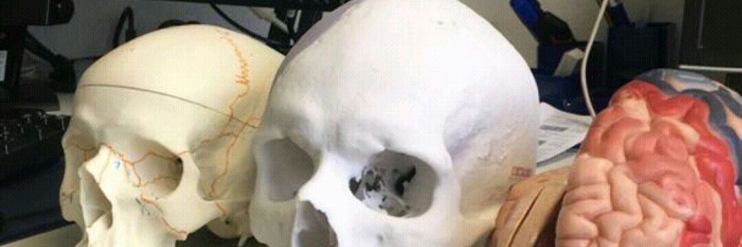 dr_staphy's profile banner image