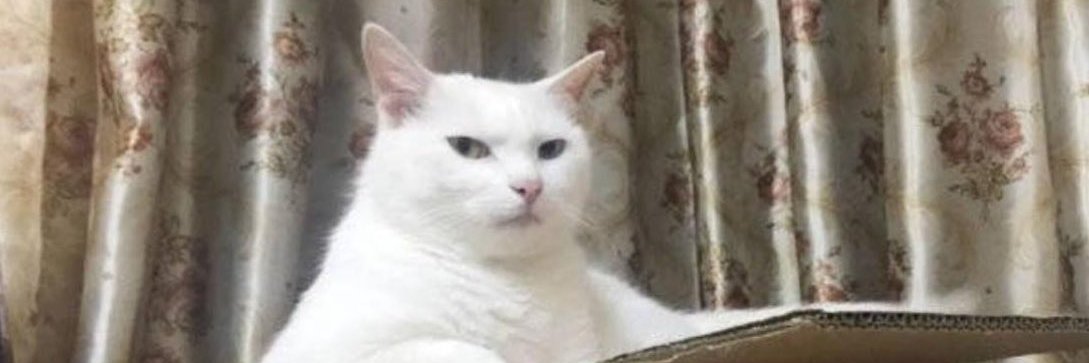 hetdahribet's profile banner image