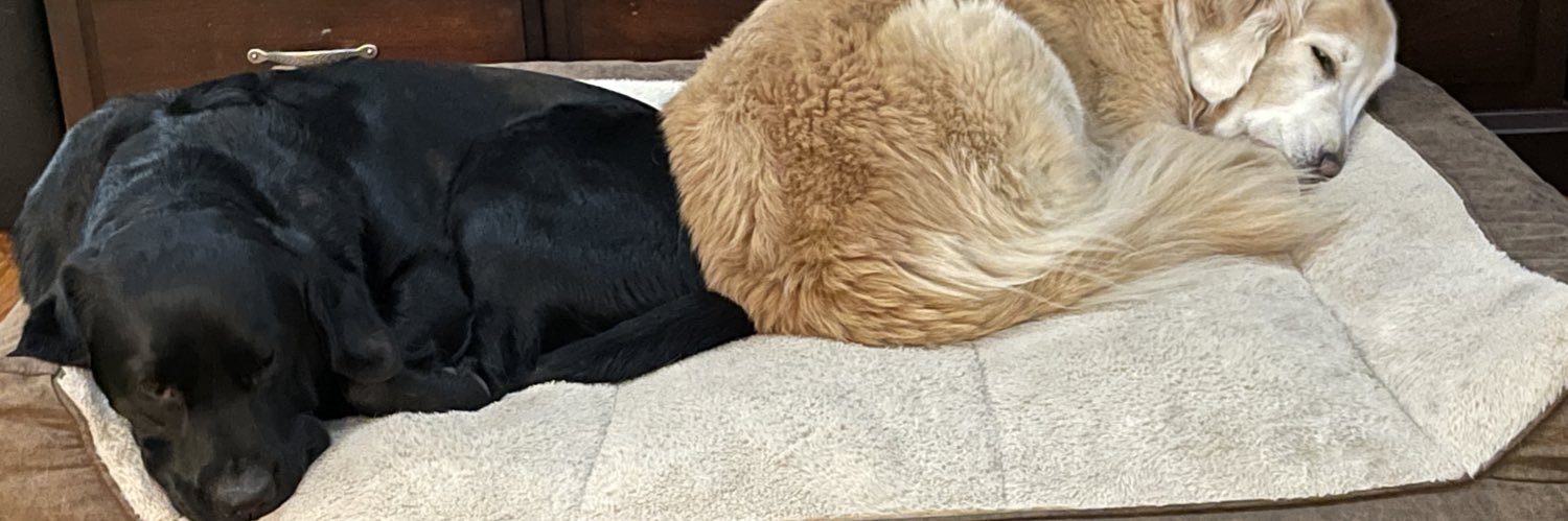 threedogsofva's profile banner image