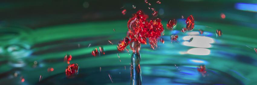 Crypdrops_NFTs's profile banner image