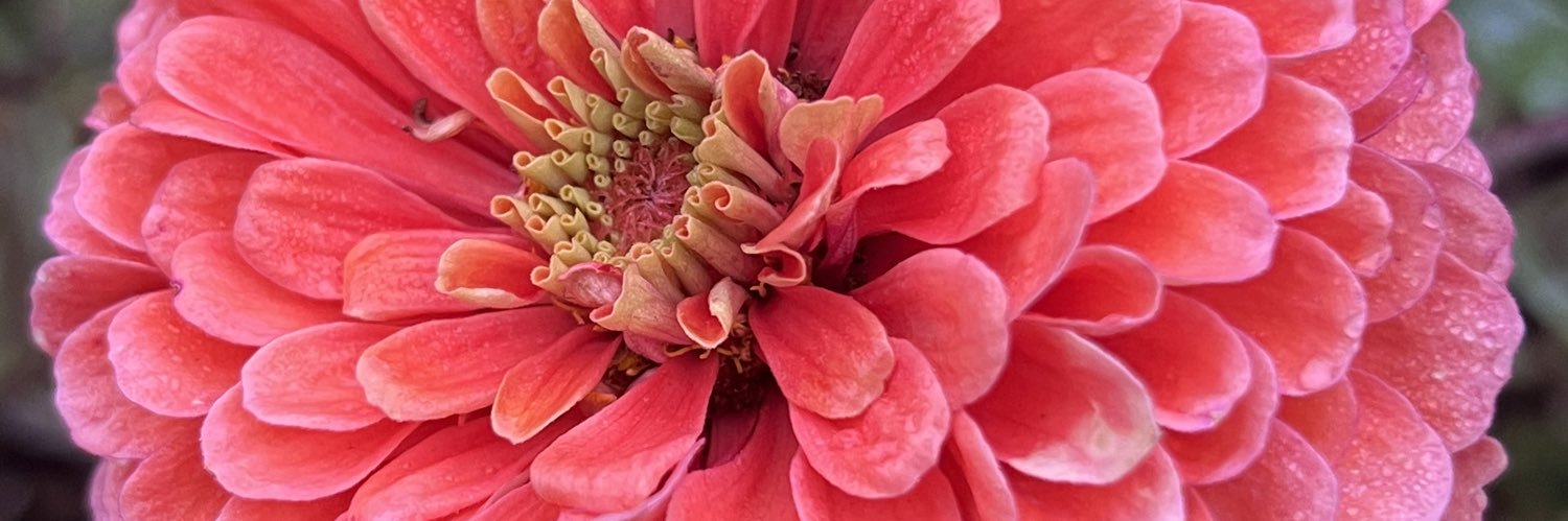 solflower78's profile banner image