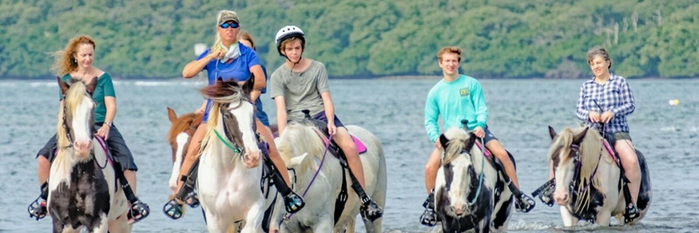 cponies10's profile banner image