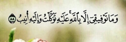 علي الشريف banner