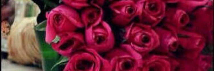 Ebtcam2's profile banner image