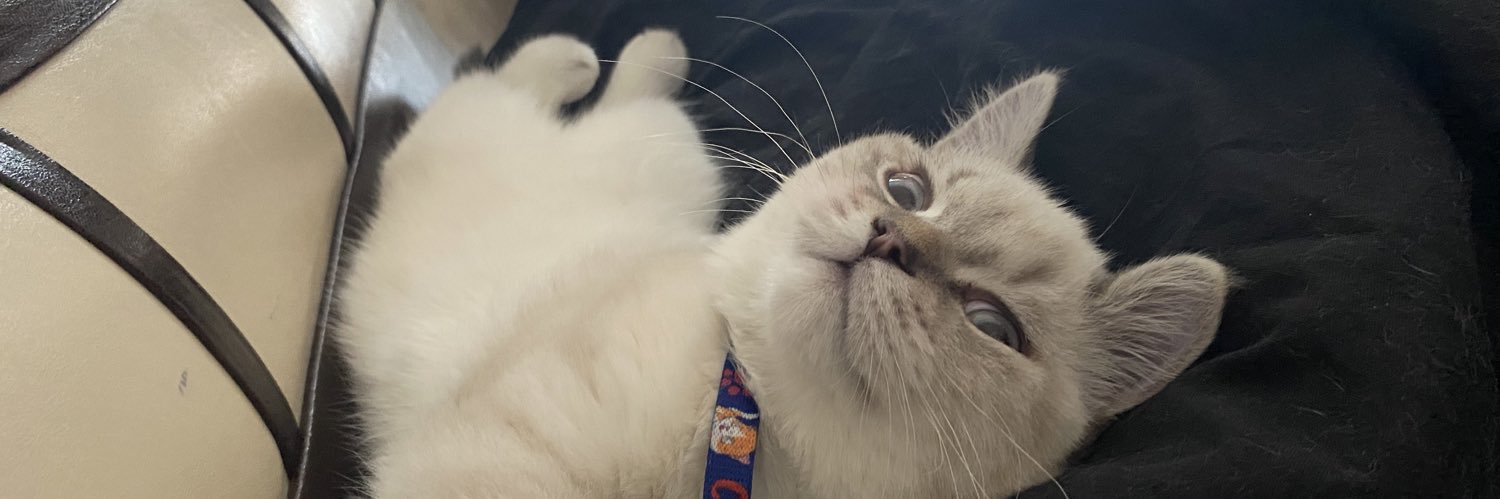 _cileekmy's profile banner image