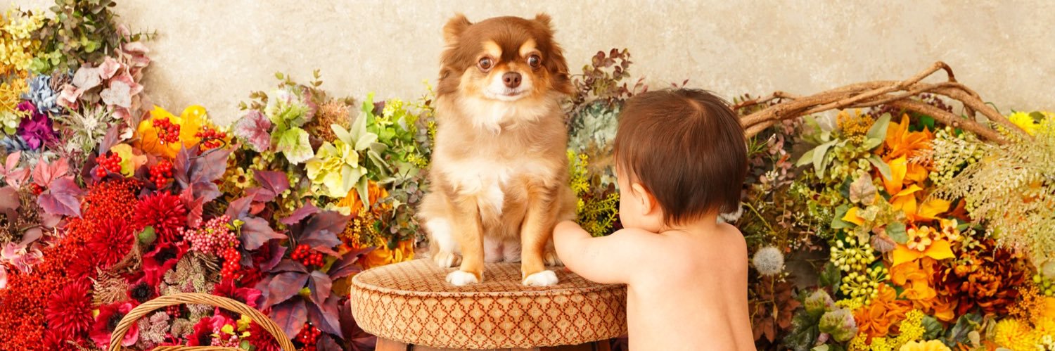 0312Sacchan's profile banner image