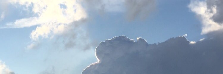 TonyCheese_'s profile banner image
