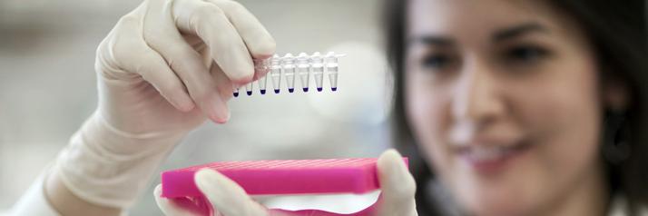 Mayo Clinic Graduate School of Biomedical Sciences banner