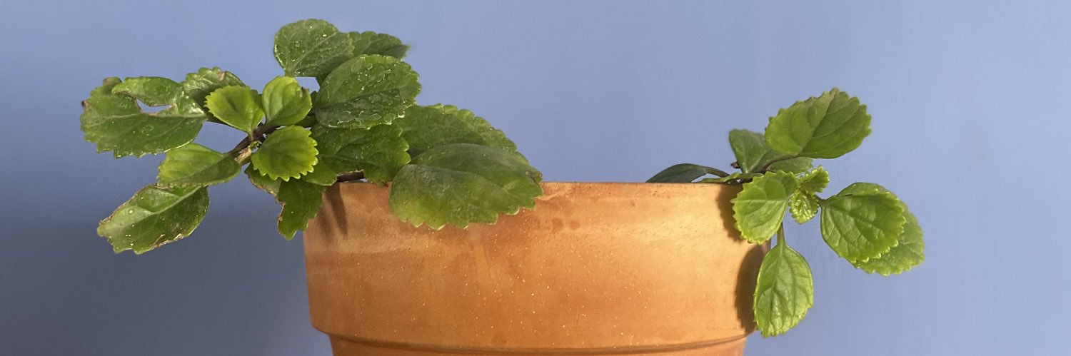 kevinmorenom's profile banner image