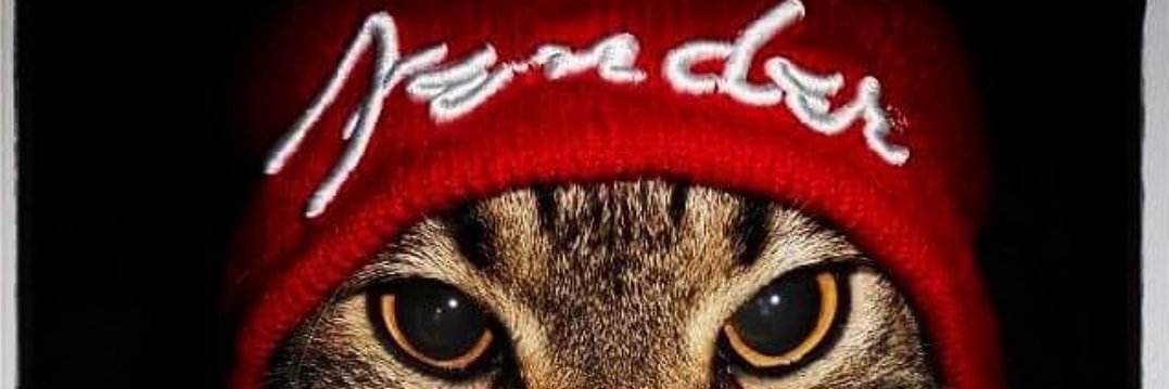 travis_evelyn's profile banner image