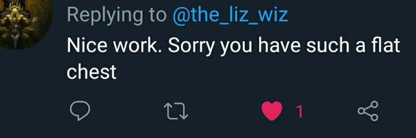 lizbean73 Profile Banner