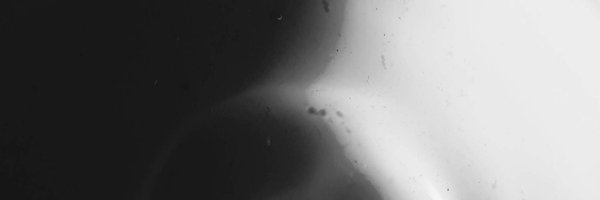 FaneFan_FF Profile Banner