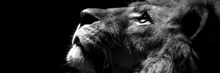 Florian Sueur banner