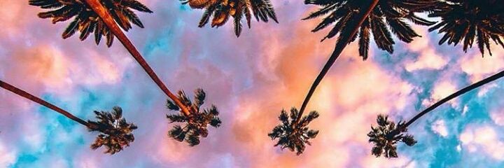 sarar1400's profile banner image