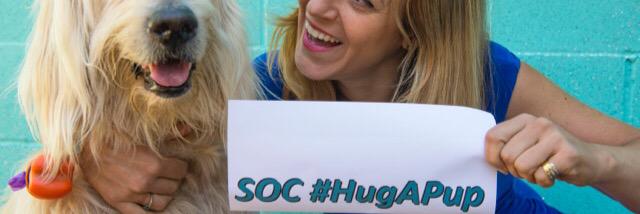 SOCHugAPup's profile banner image