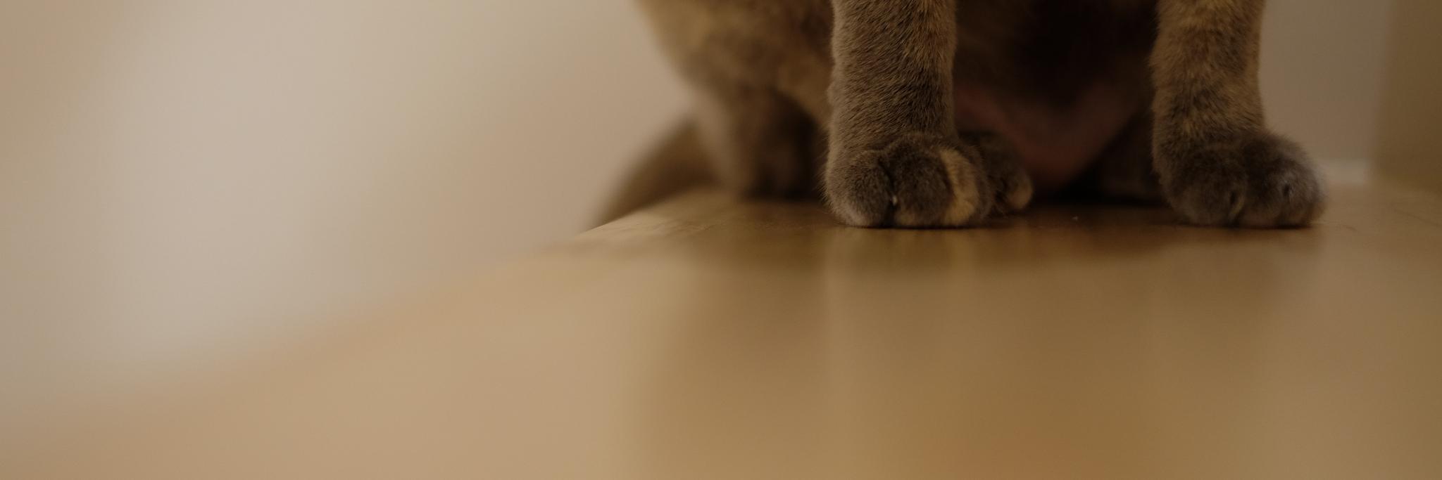 m0r1's profile banner image
