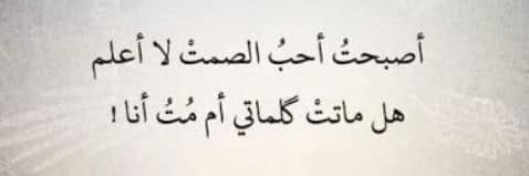 Mohammed_Sheef's profile banner image