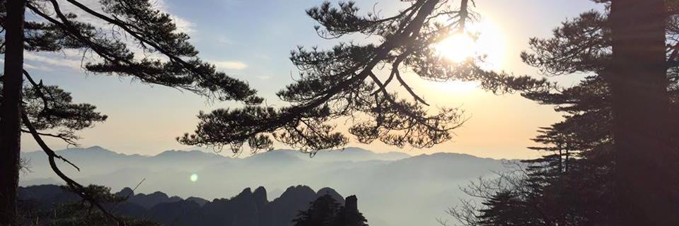 Nad_Hoffmann's profile banner image
