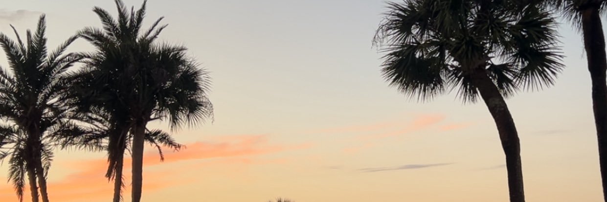 JohnPSteeleJr's profile banner image