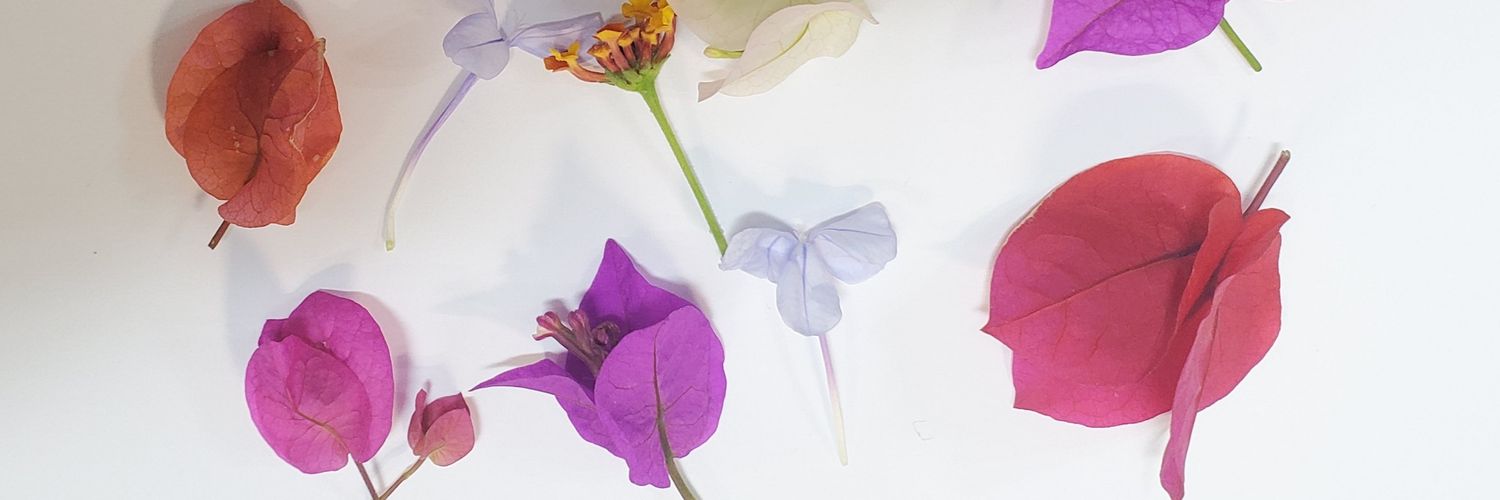 _Haypha banner
