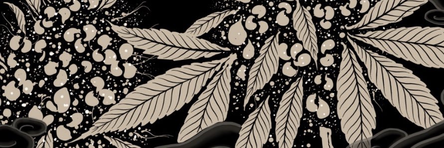 fact7271's profile banner image