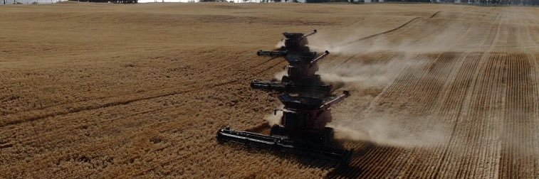 Steven Wolter banner