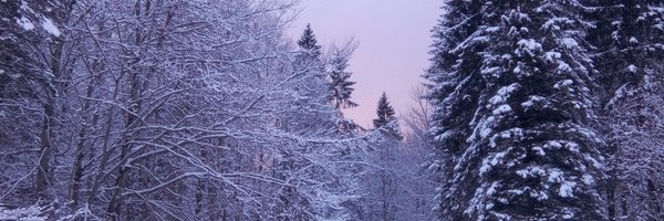 NeyEclipse Profile Banner