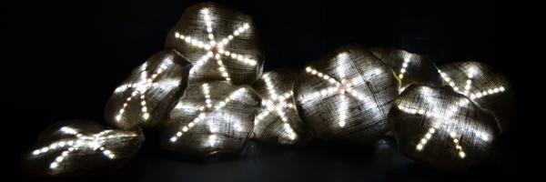 HisarCS Profile Banner